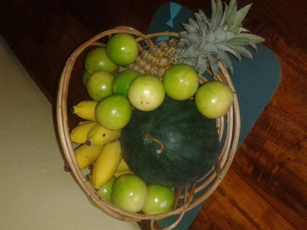 Hotel Yoho Mango House Negombo Esterno foto