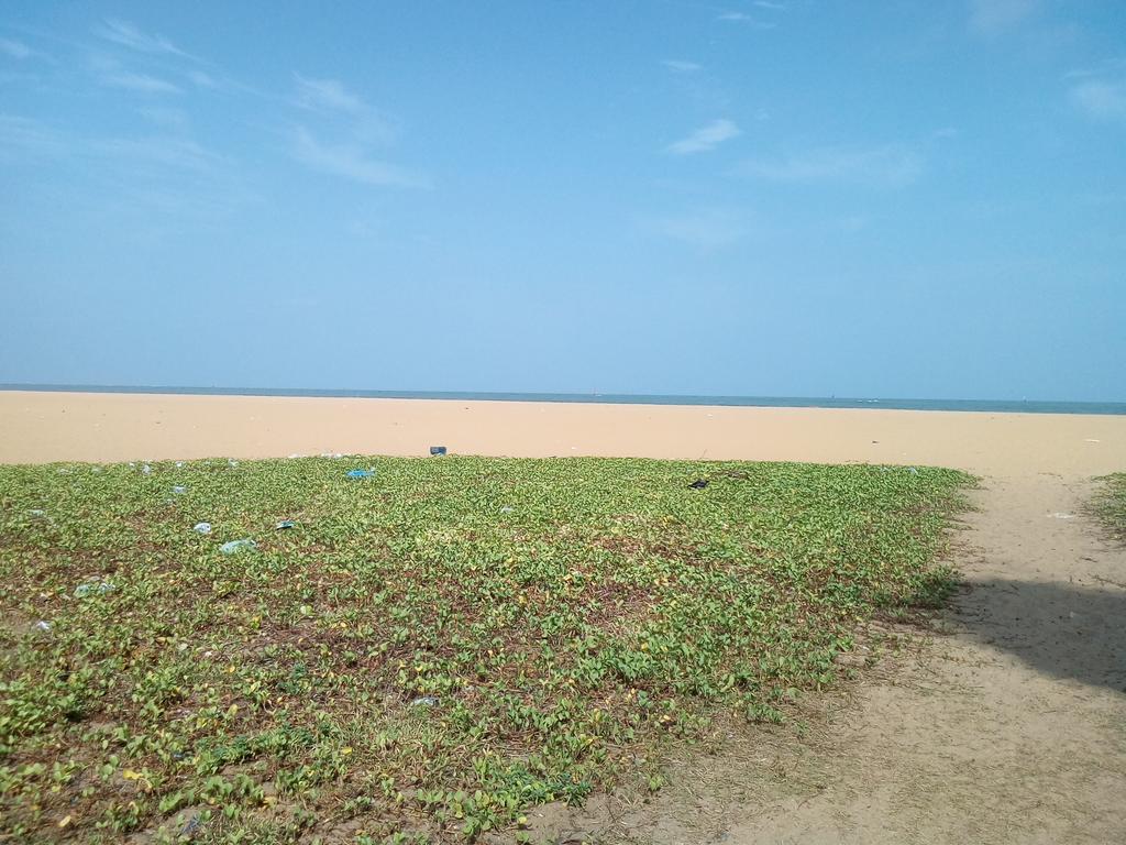 Hotel Yoho Mango House Negombo Esterno foto